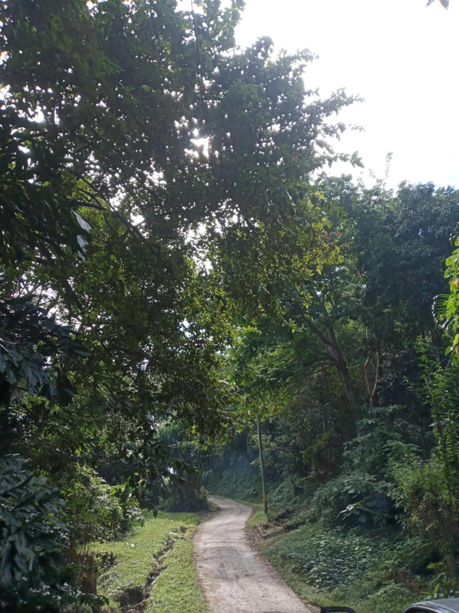 Hostal Juan Lindo San Pedro Sula Zewnętrze zdjęcie