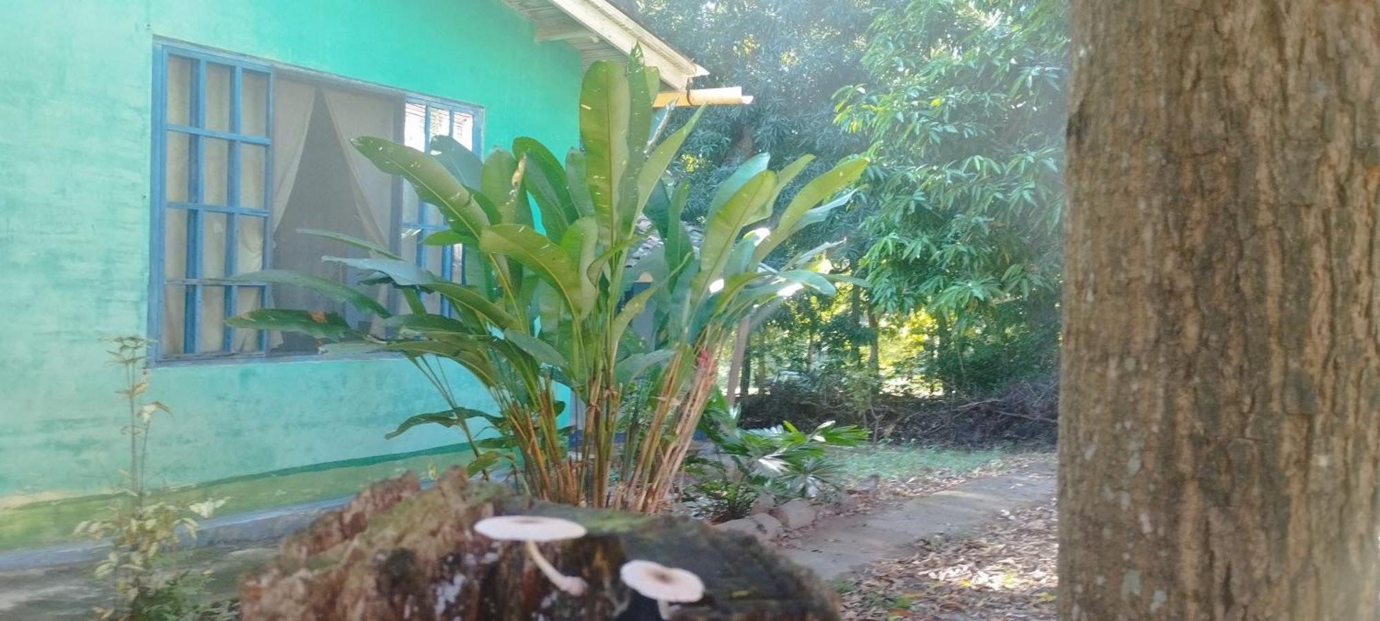 Hostal Juan Lindo San Pedro Sula Zewnętrze zdjęcie